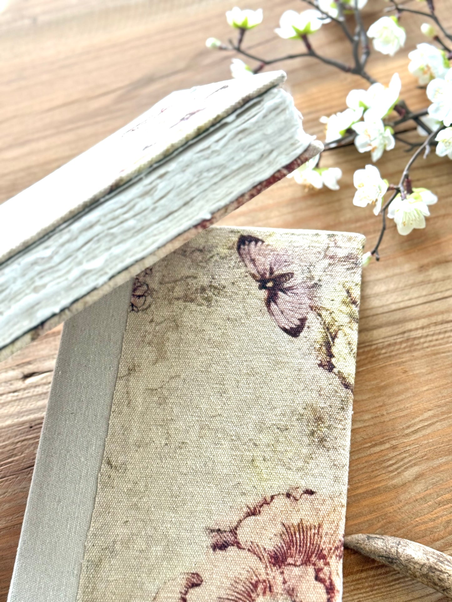 Butterfly Journal