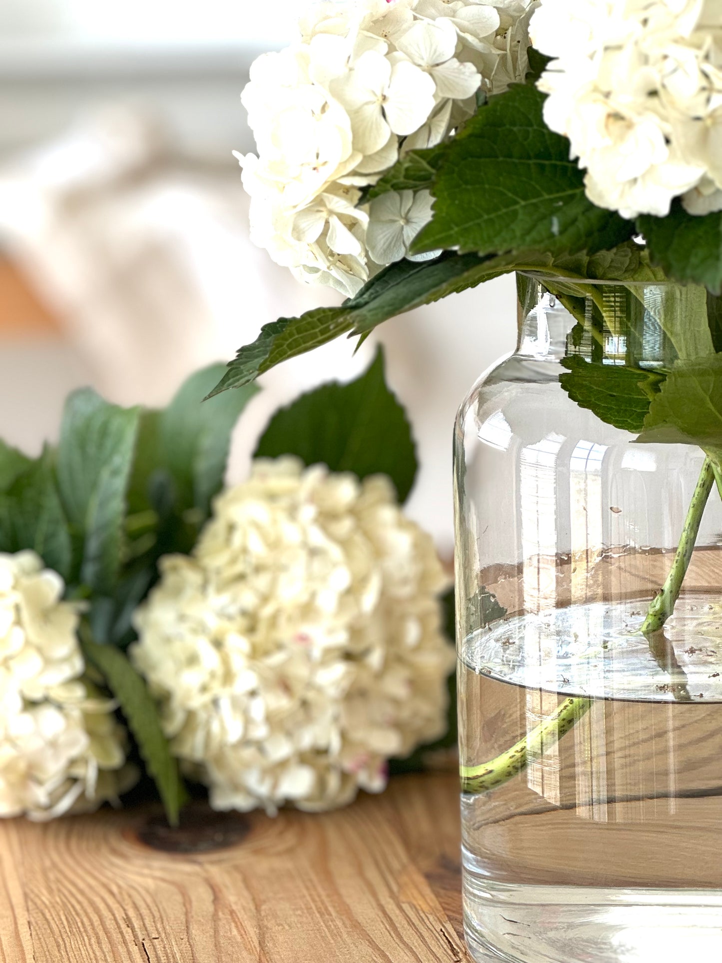 Mabel Vase