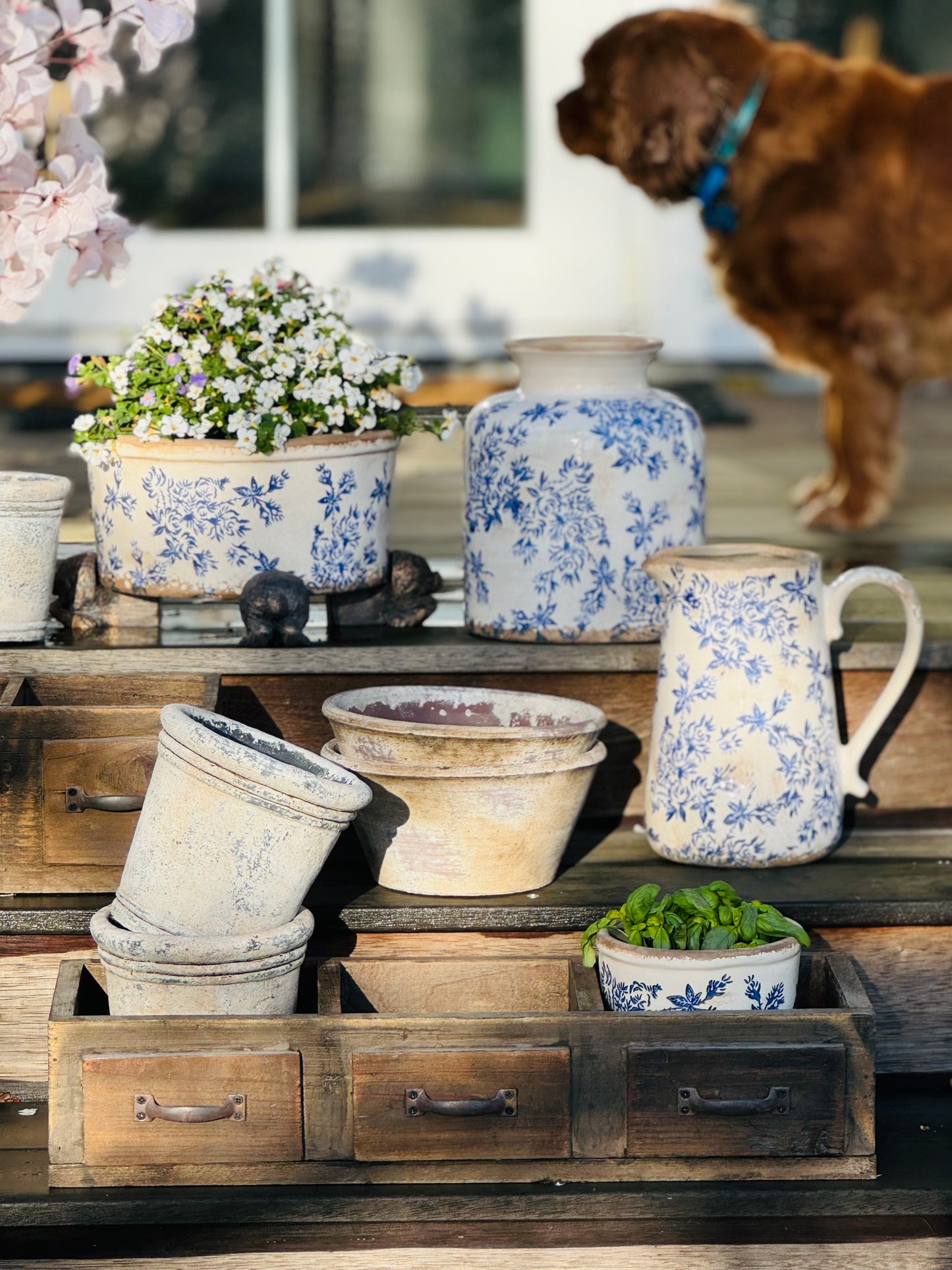 Normandy Blue Floral Jug