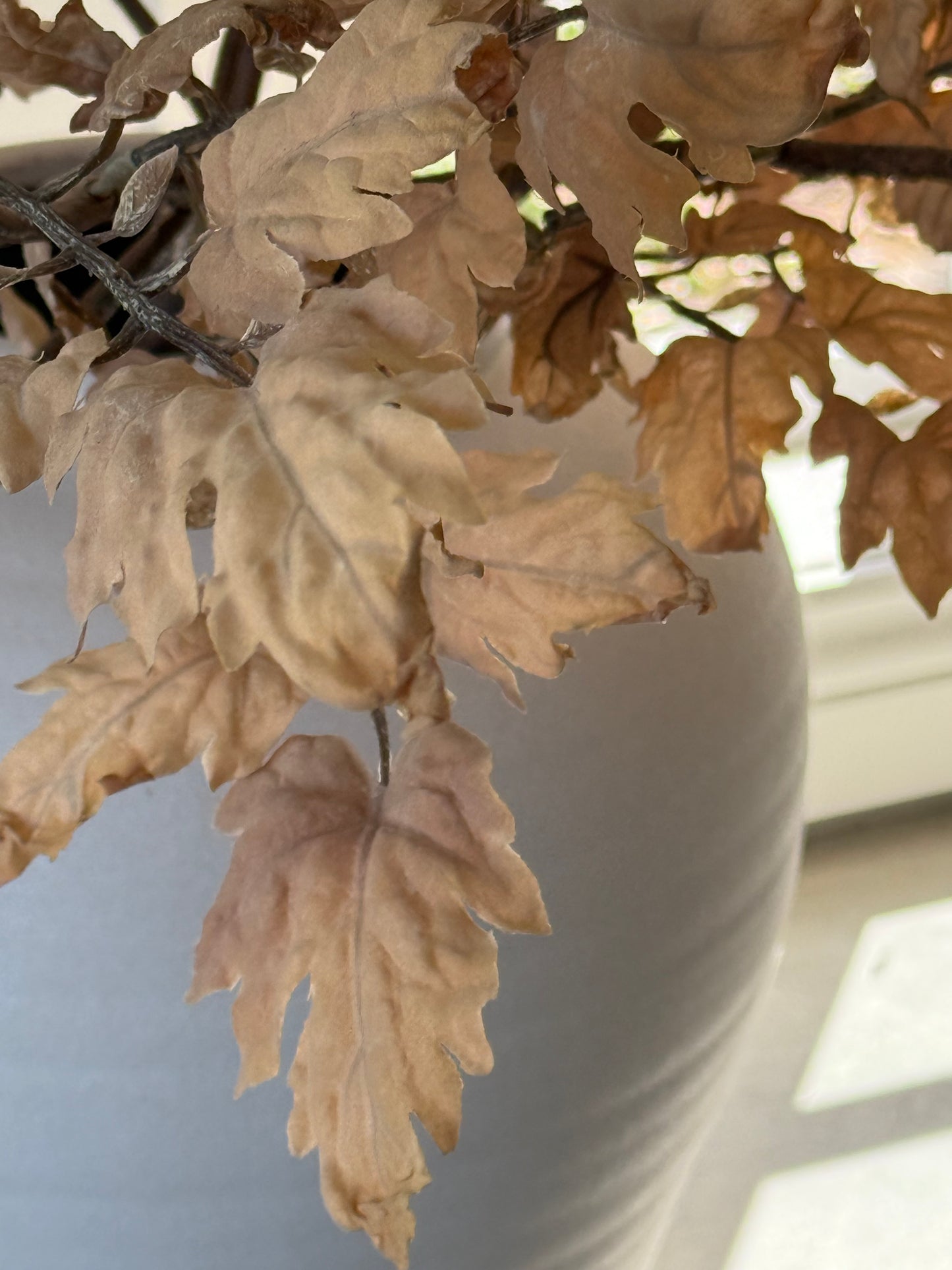 Autumn Everlasting Stems - Almond