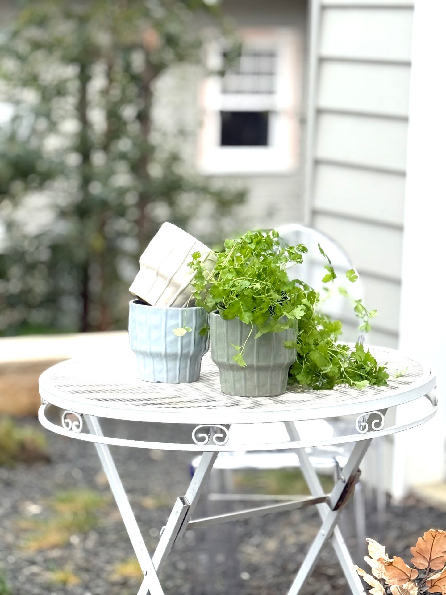 Parker Pot - Sage