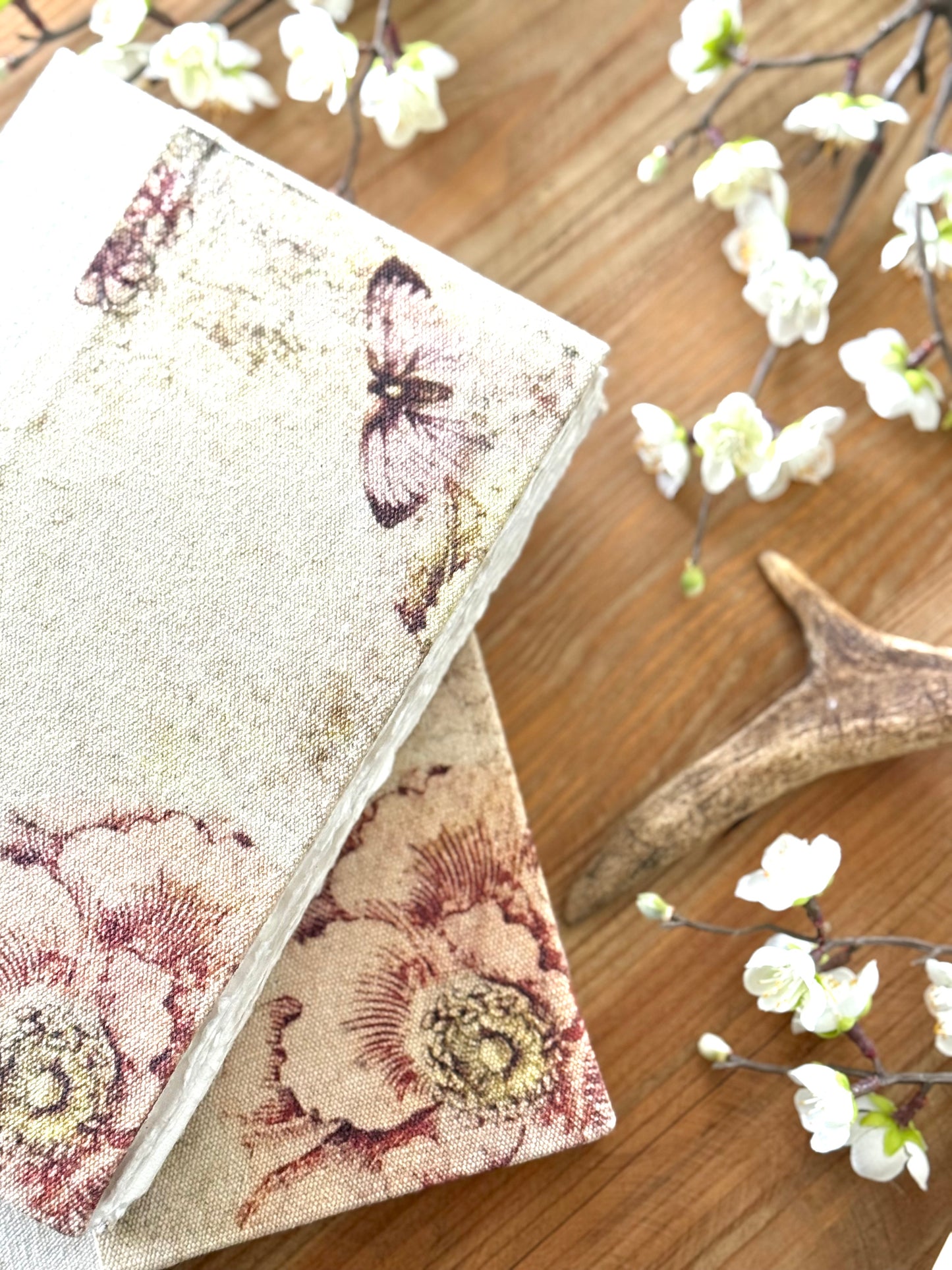 Butterfly Journal