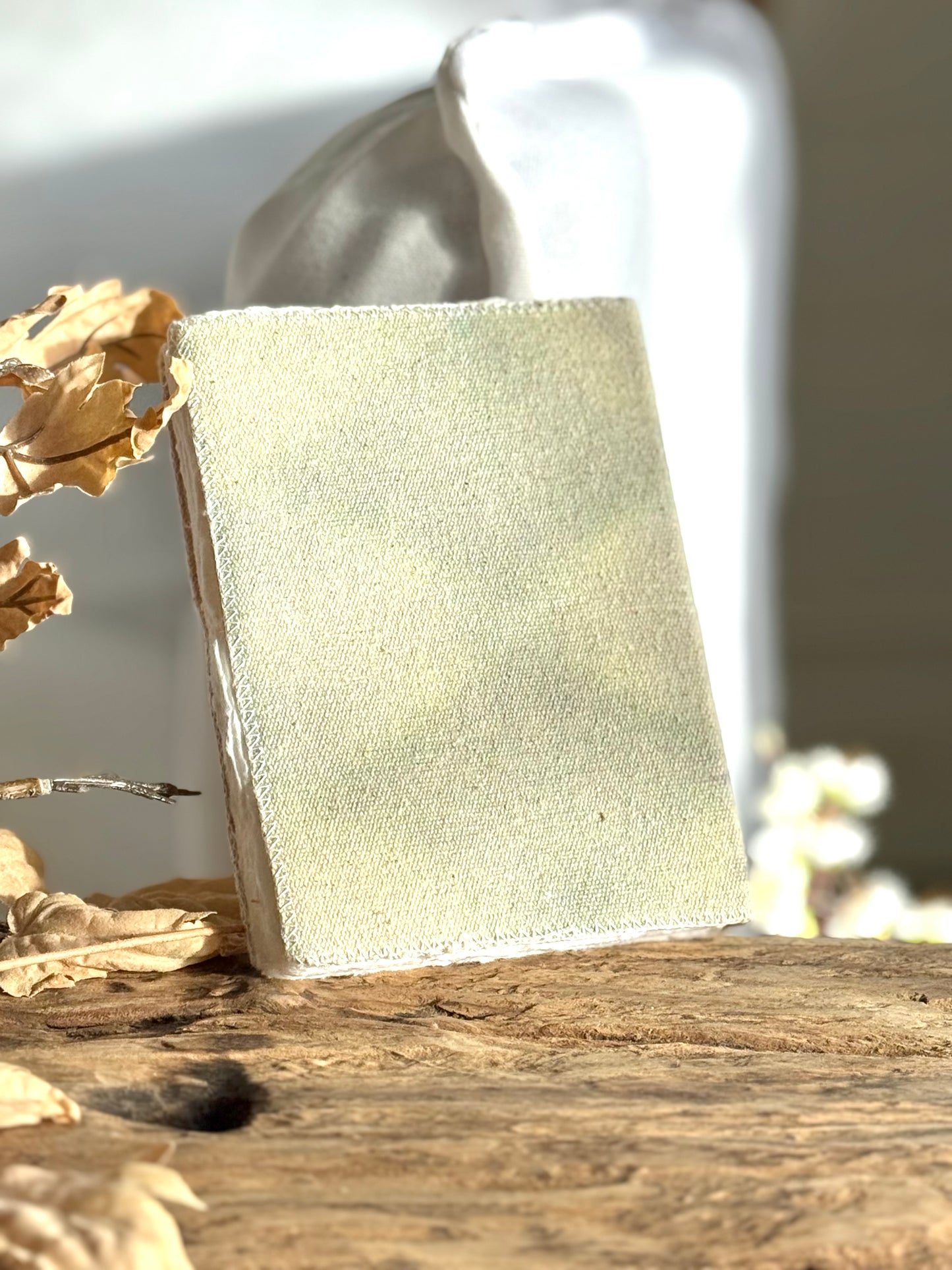 Blue Wren Canvas Journal