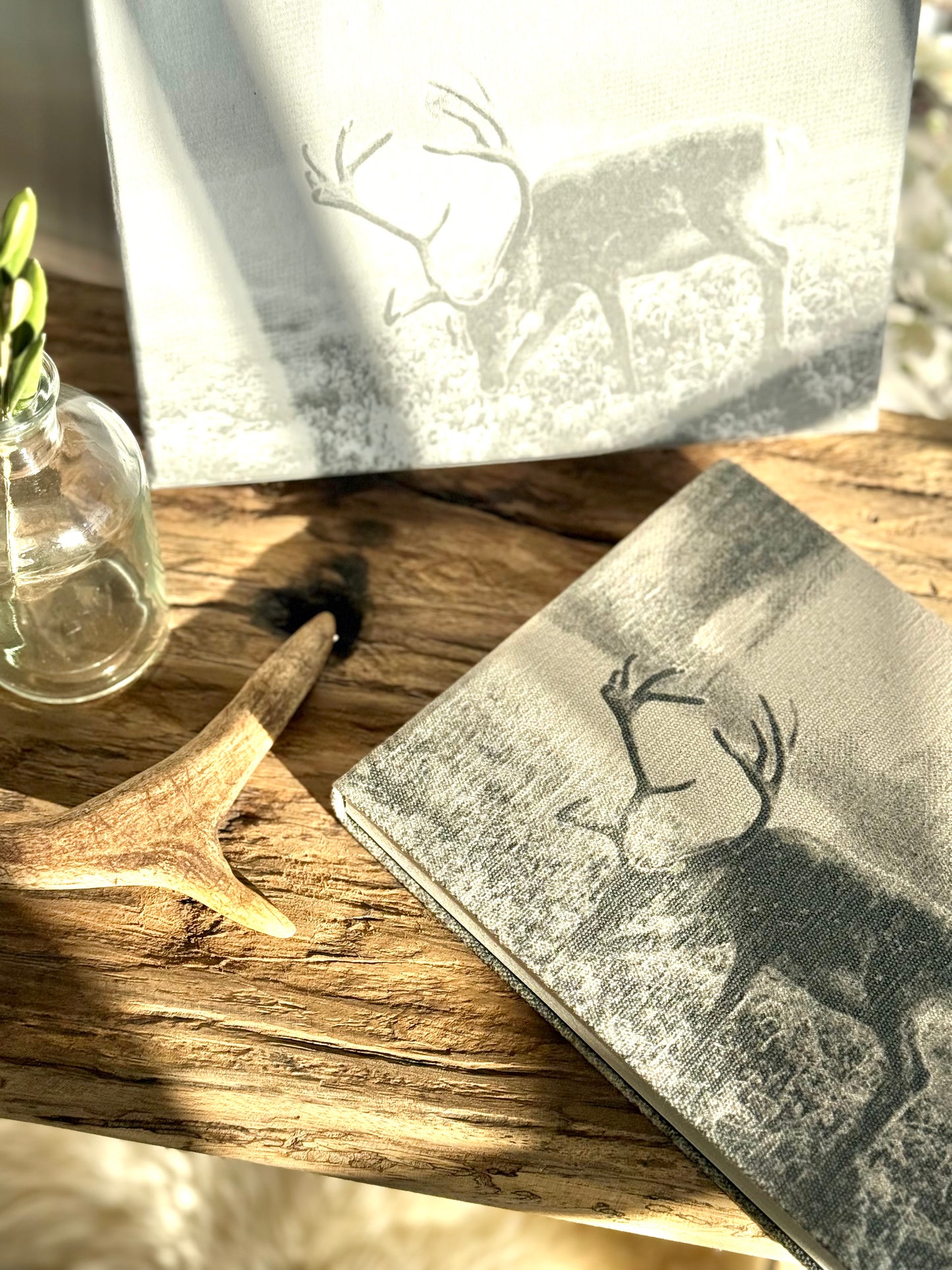 Reindeer Canvas Journal with Gift Box