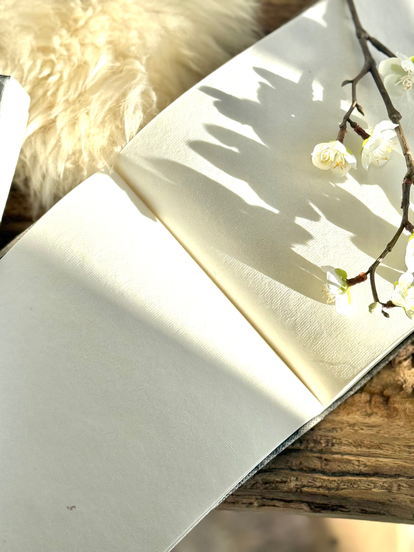 Reindeer Canvas Journal with Gift Box