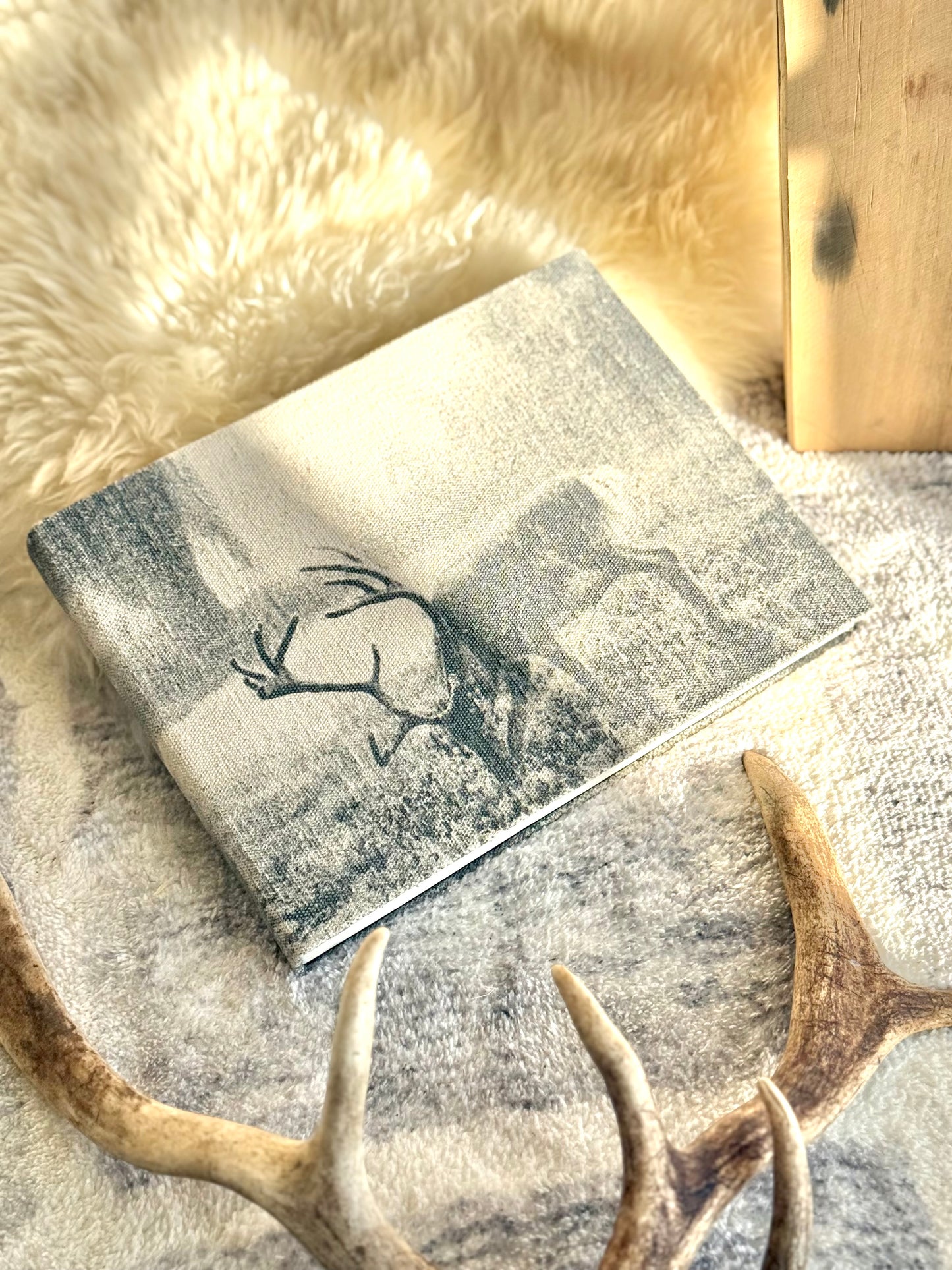 Reindeer Canvas Journal with Gift Box