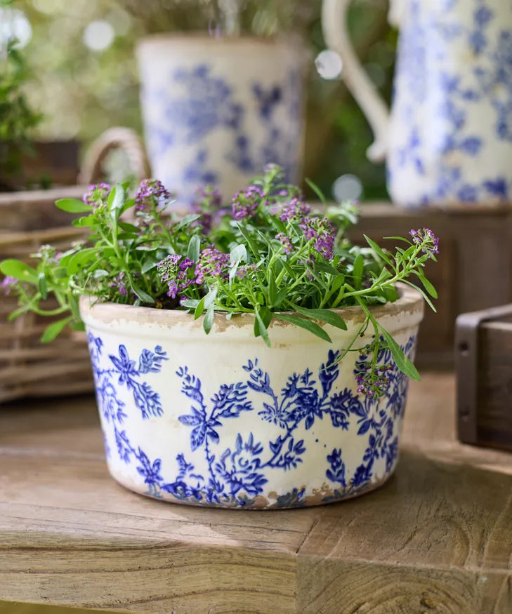 blue and white plant pots uk Normandy Blue Floral Pot