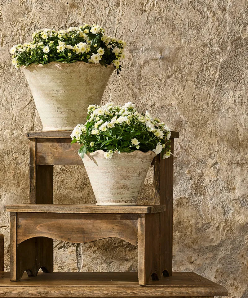 Scalloped Planter - Small