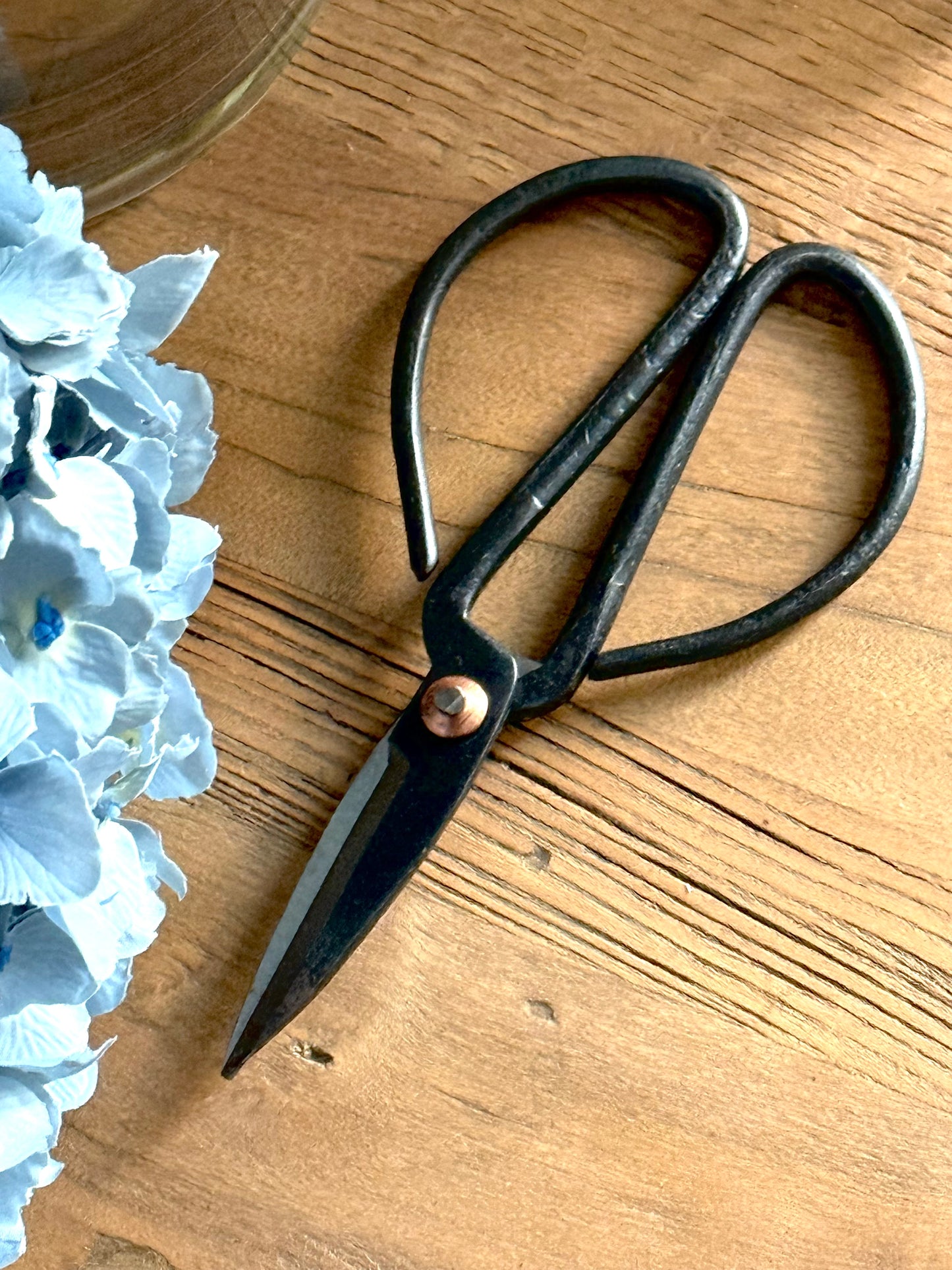 Herb Scissors