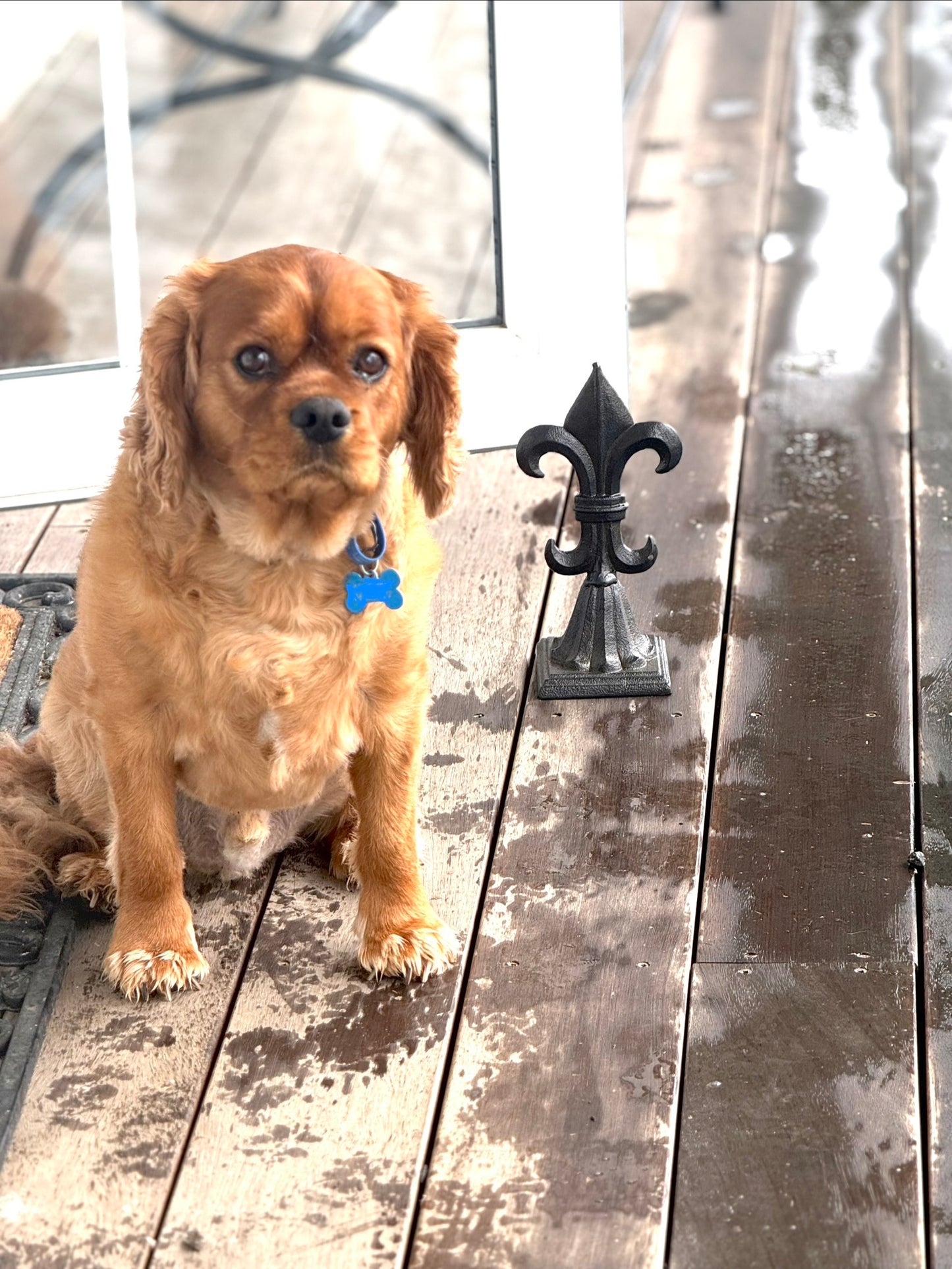 Fleur De Lys Iron Door Stop