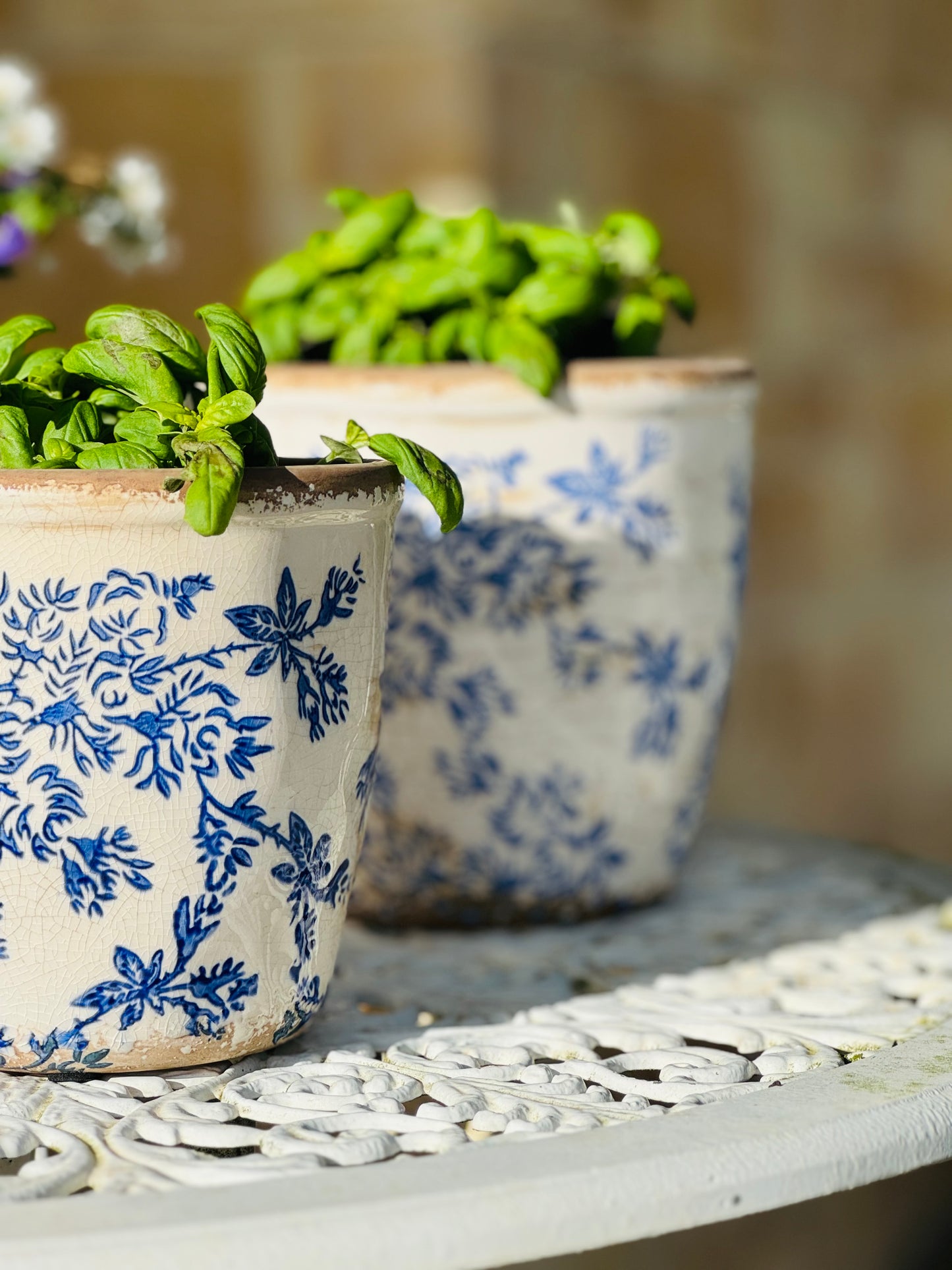 Normandy Blue Floral Herb Pot - Large