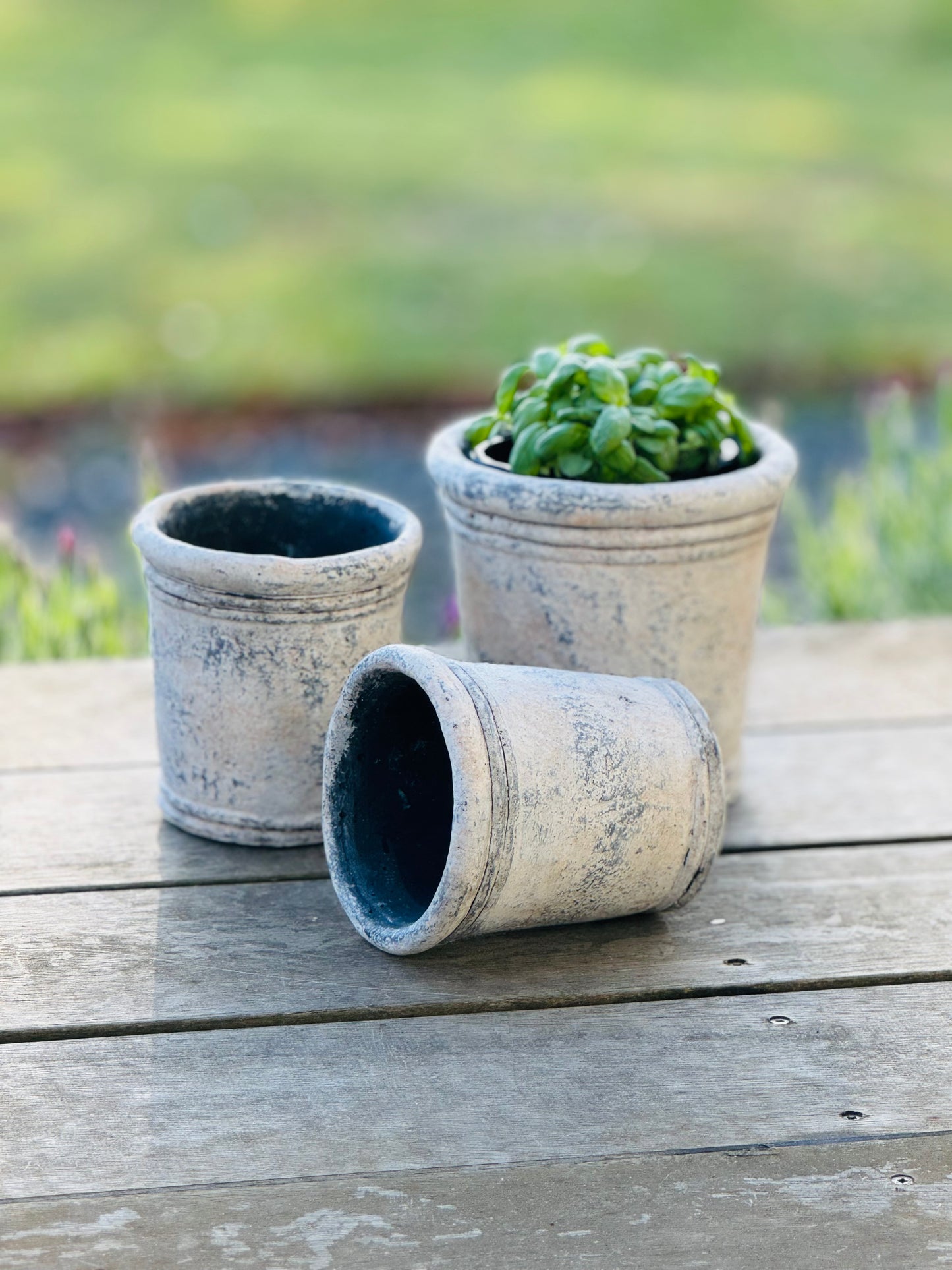 Gris Planter - Large