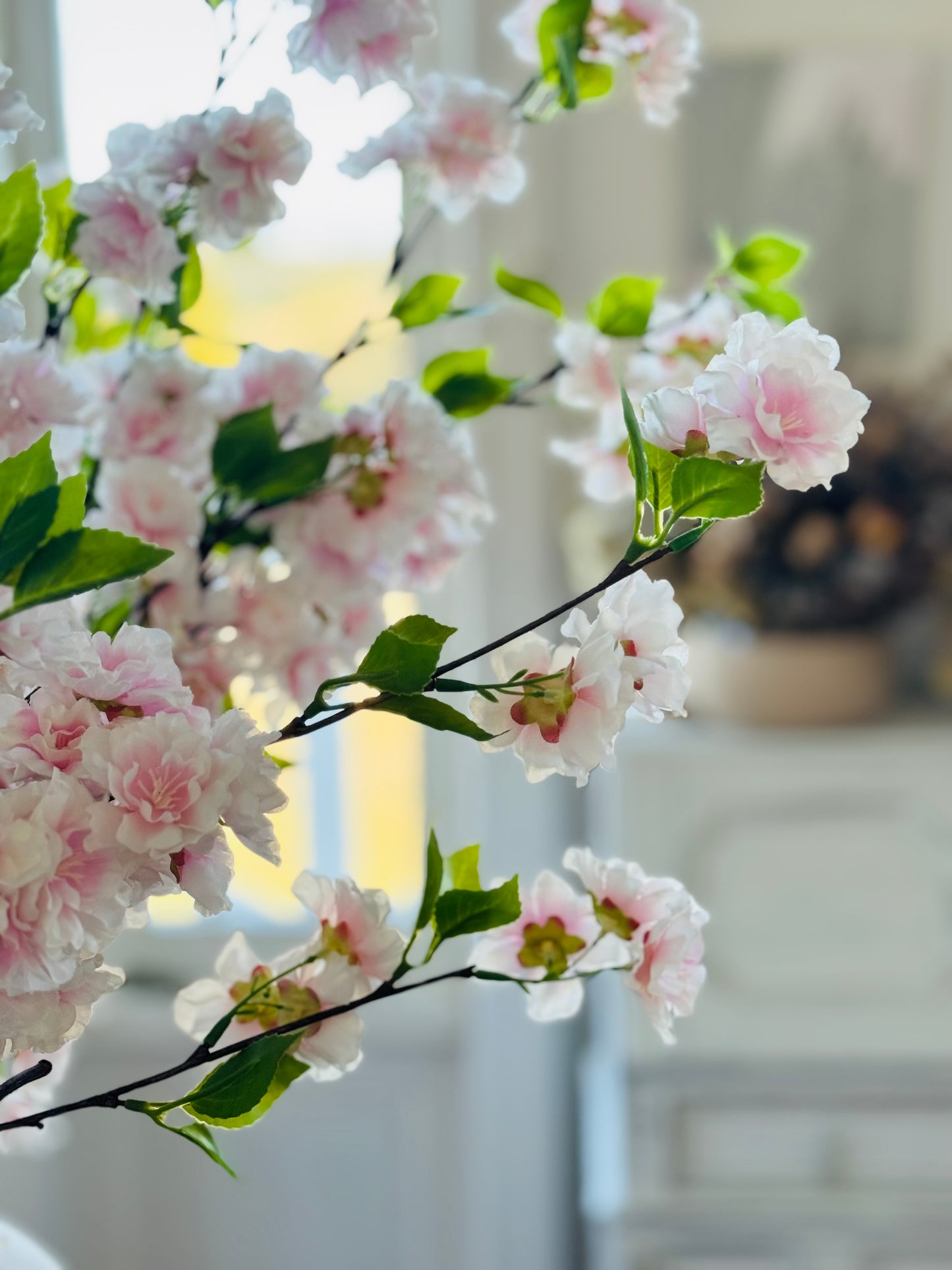 Pink Blossom