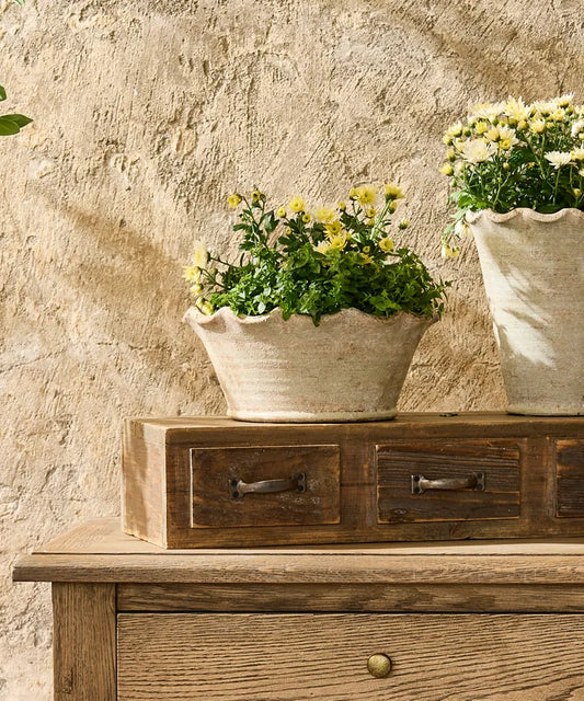 Scalloped Planter Bowl