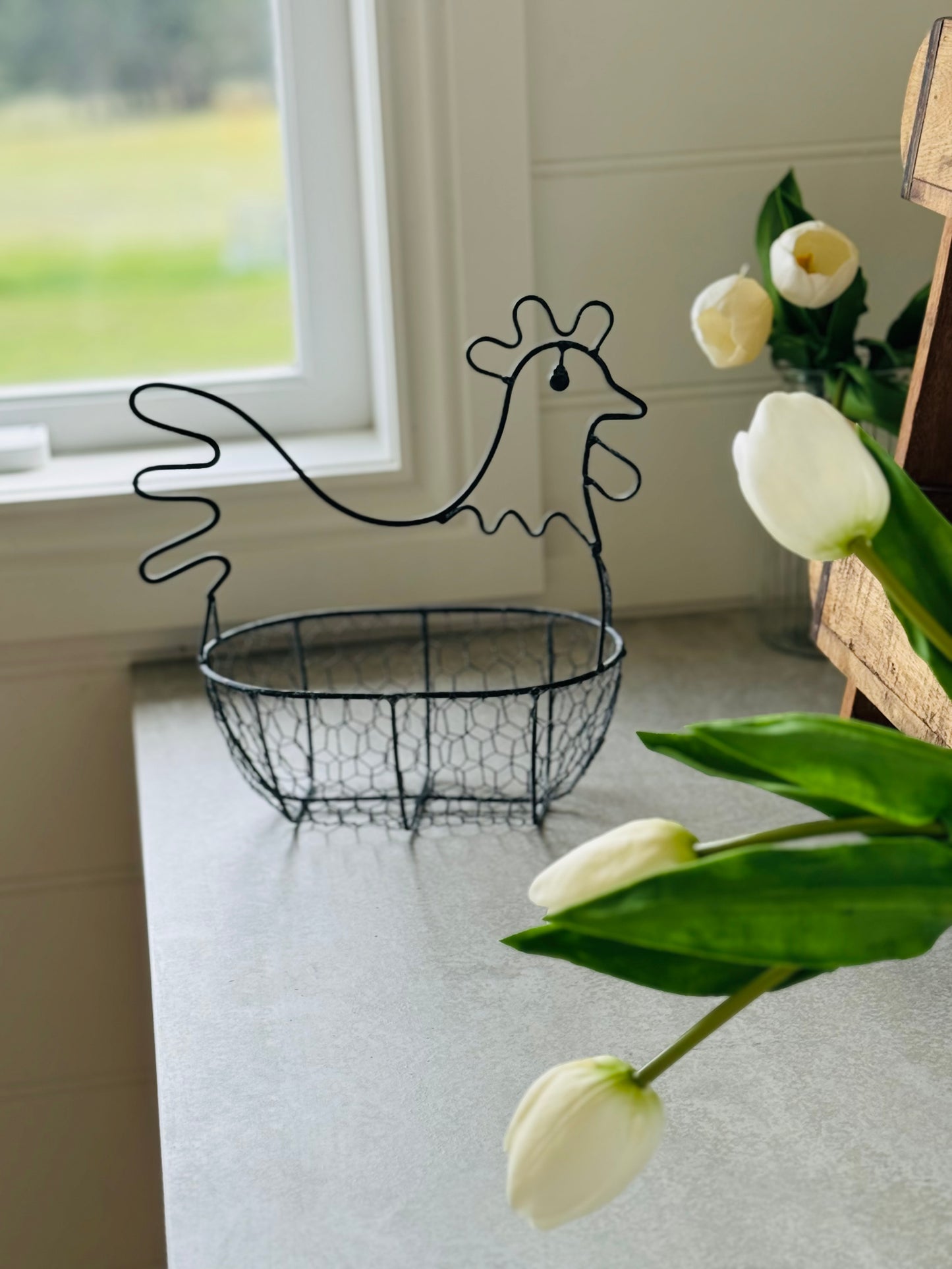 Chicken Egg Carrier Basket - Small