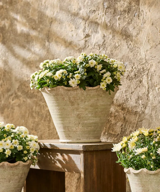 Scalloped Planter - Large