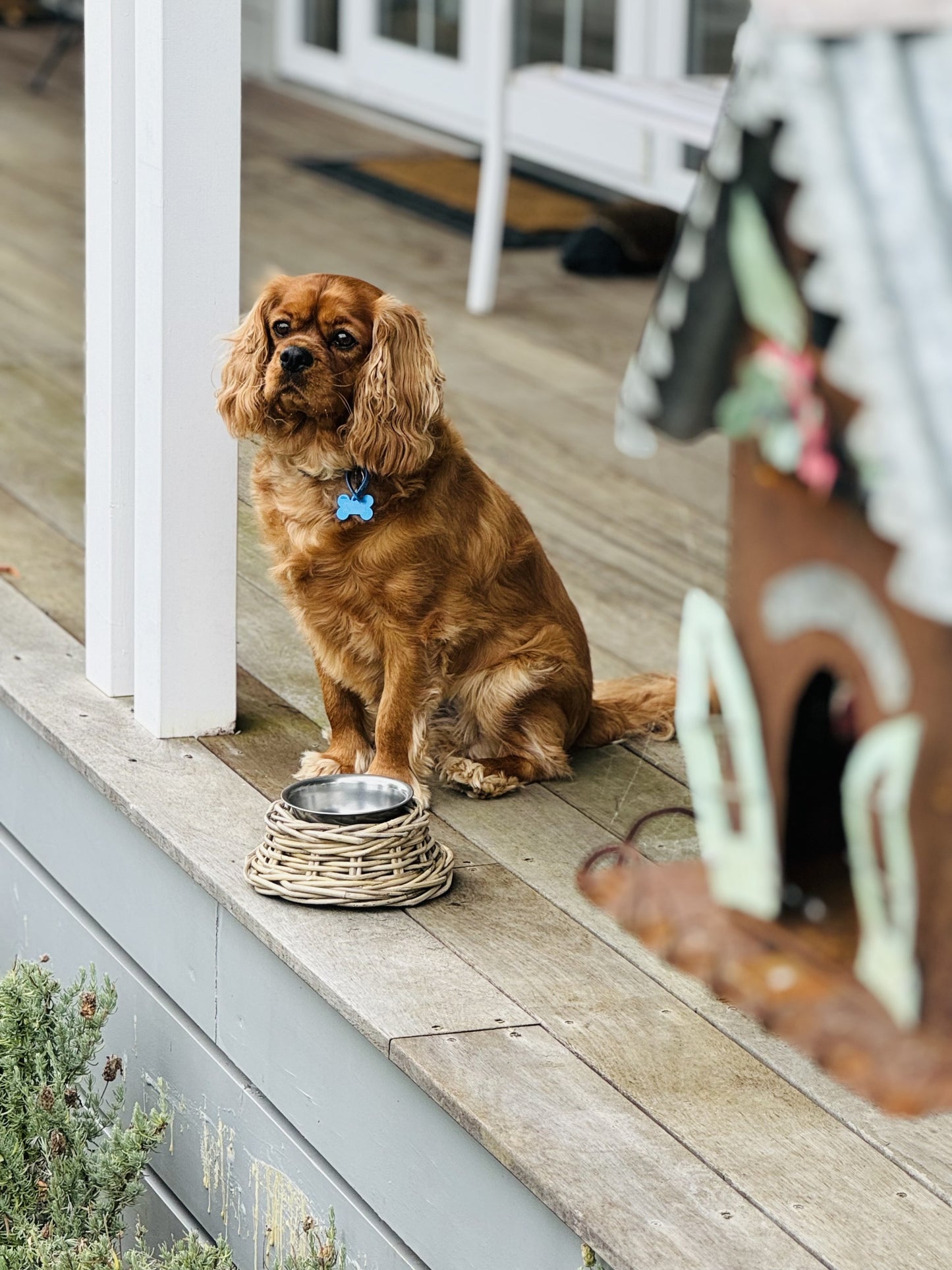 Fido Pet Bowl