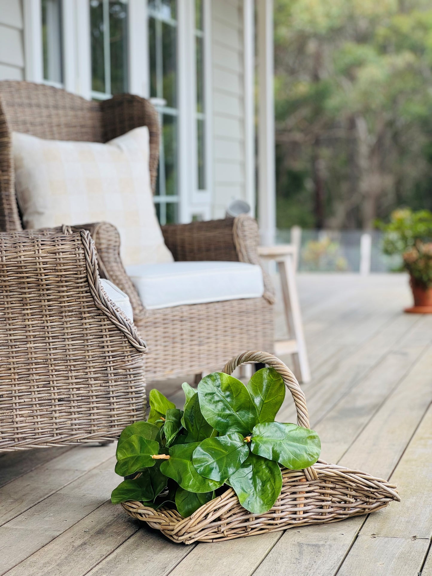 Foragers Basket